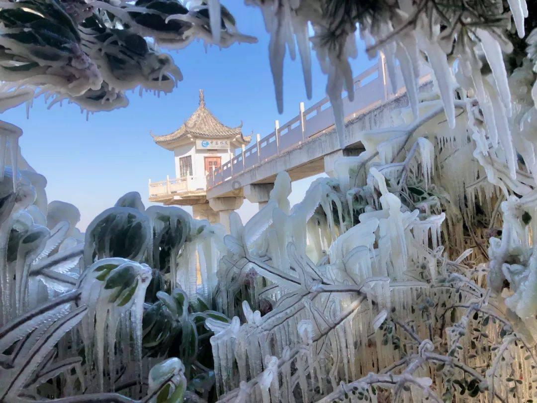 勇闯精灵大陆4